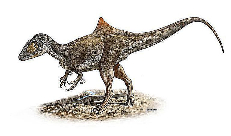 dinosaur with cone on head