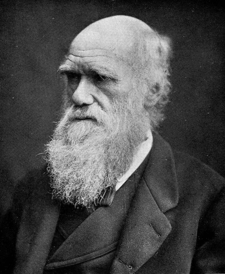 biography for charles darwin