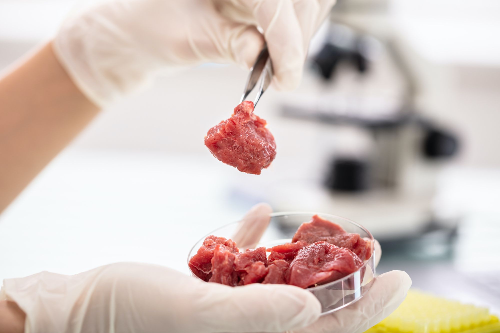 Are There Problems with Lab-Grown Meat?