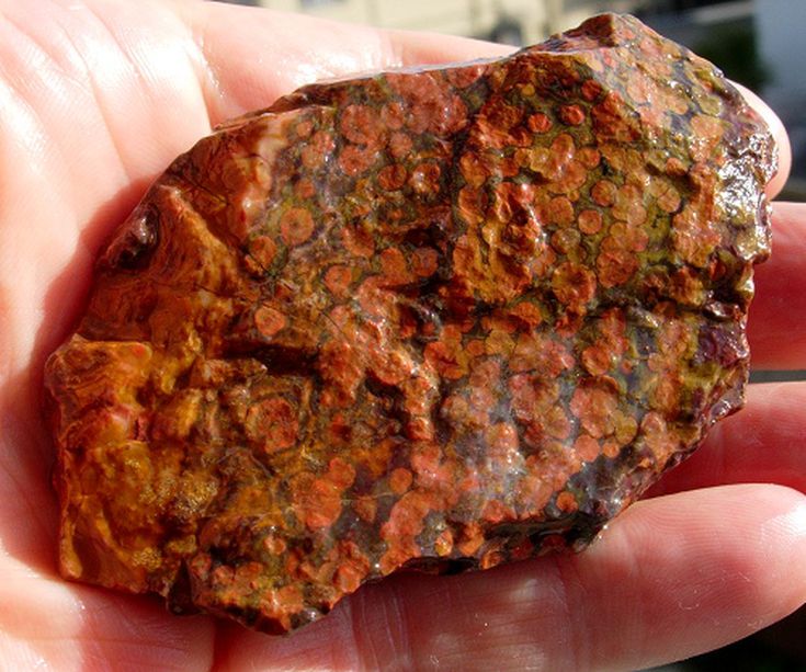 Chert Distinct Rock Type - Photo Gallery