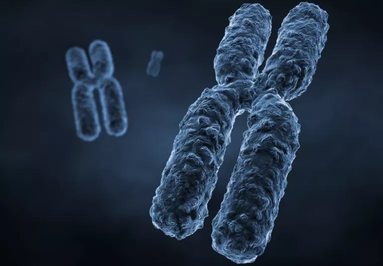 Chromosomes