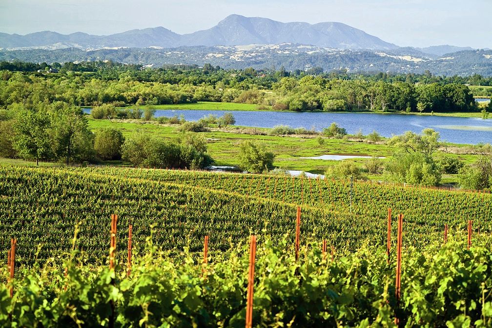 Best Sonoma Wineries to Visit