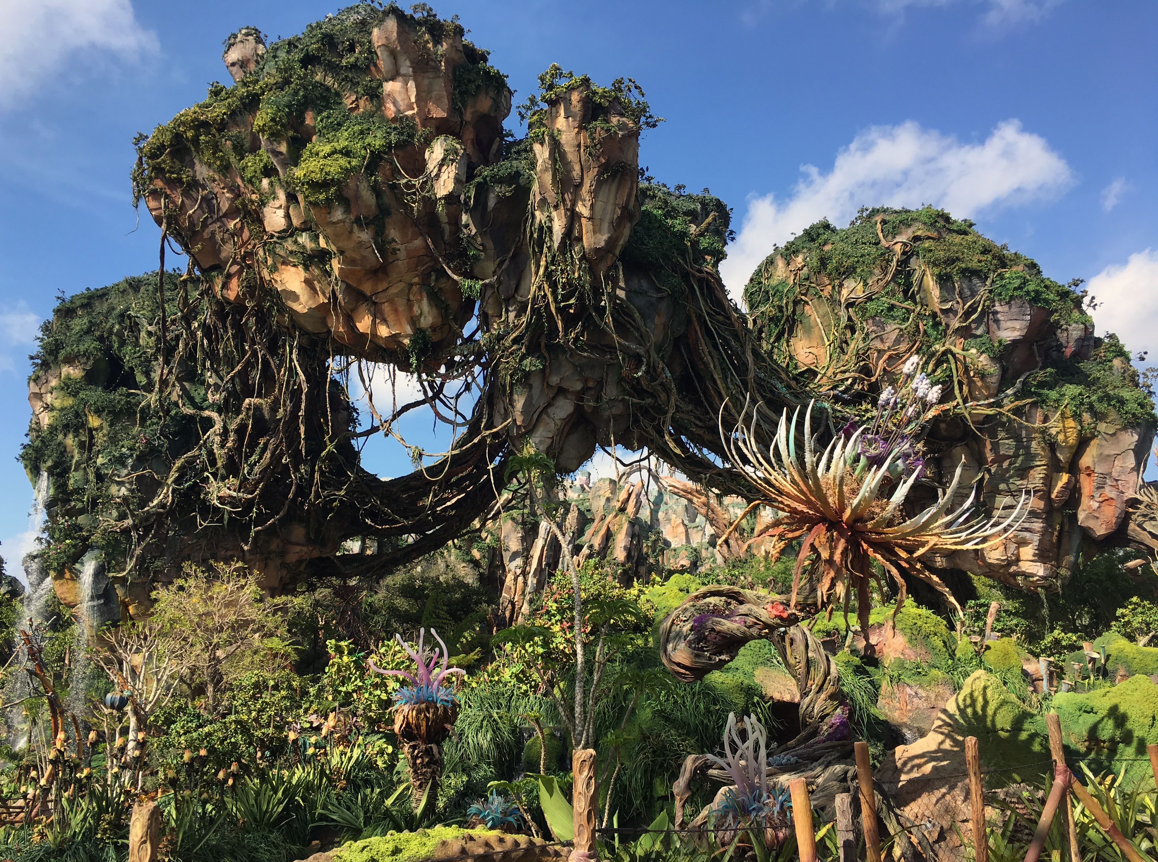 The 10 Best Things to Do at Disney World