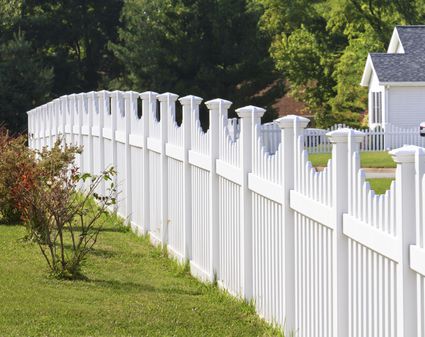 Ways to Cover an Ugly Chainlink Fence