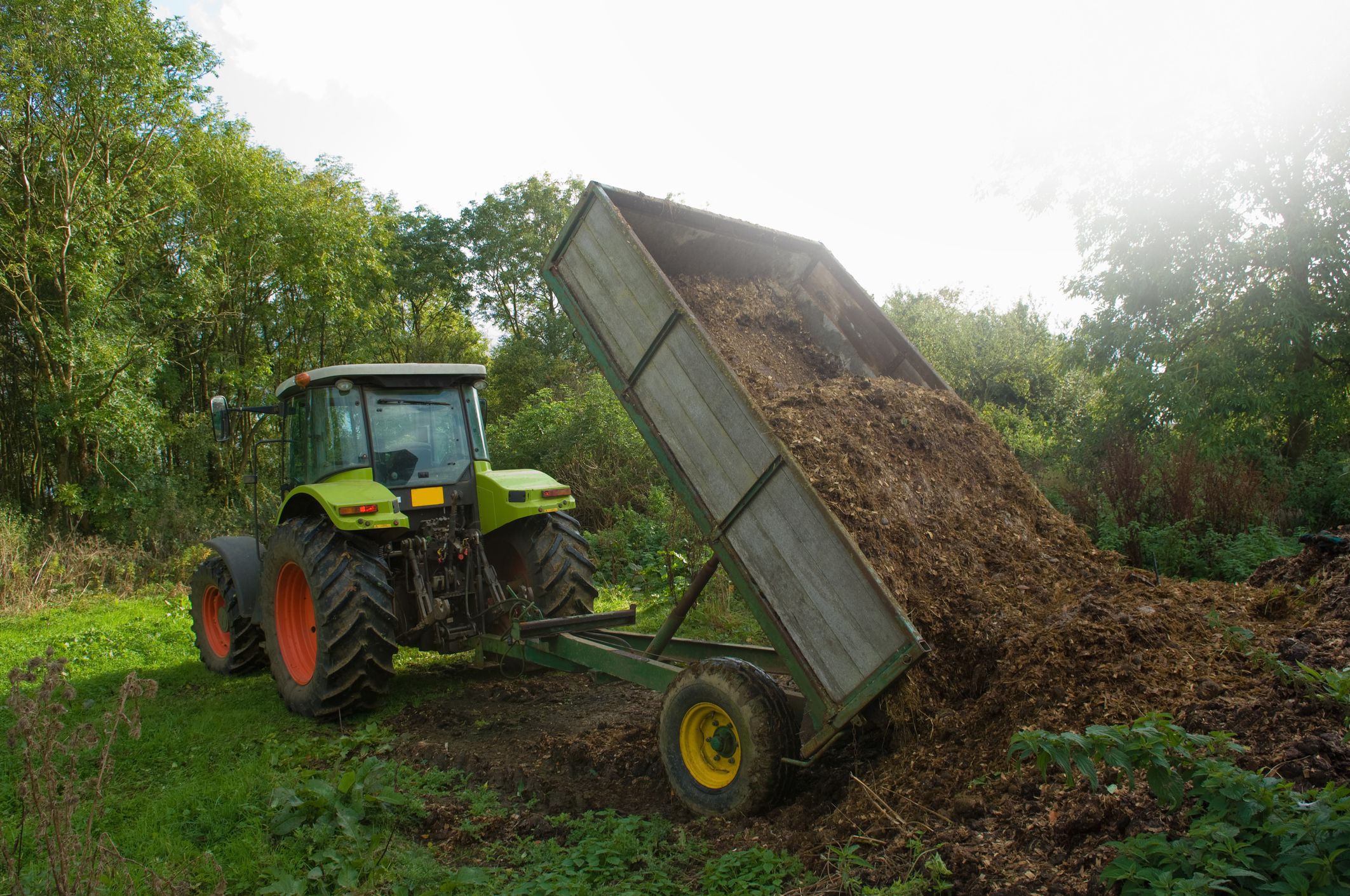 learn-about-inputs-in-organic-farming