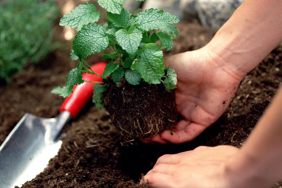 Improving The Soil On A Small Farm