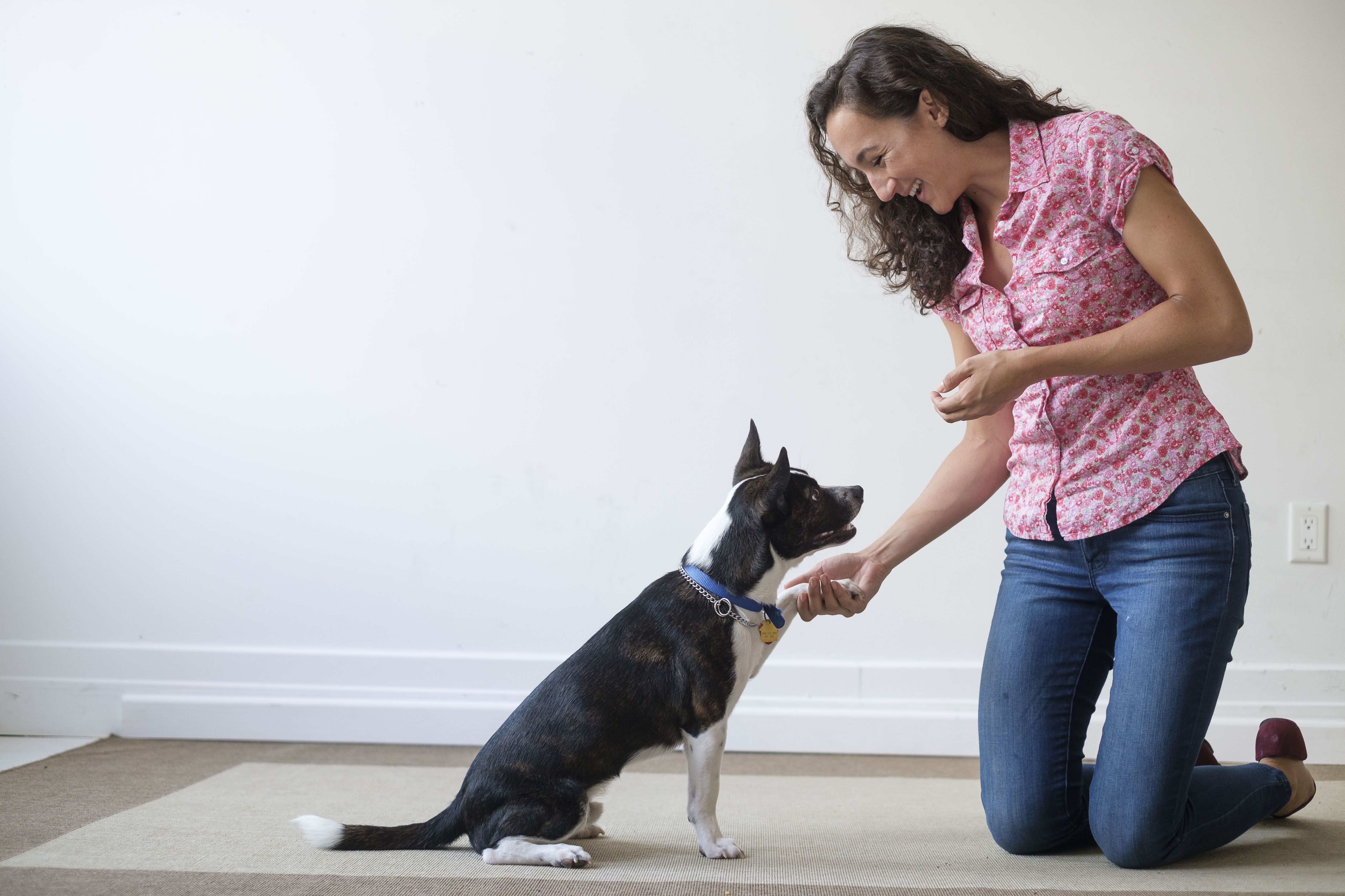 How to Start a Dog Training Program