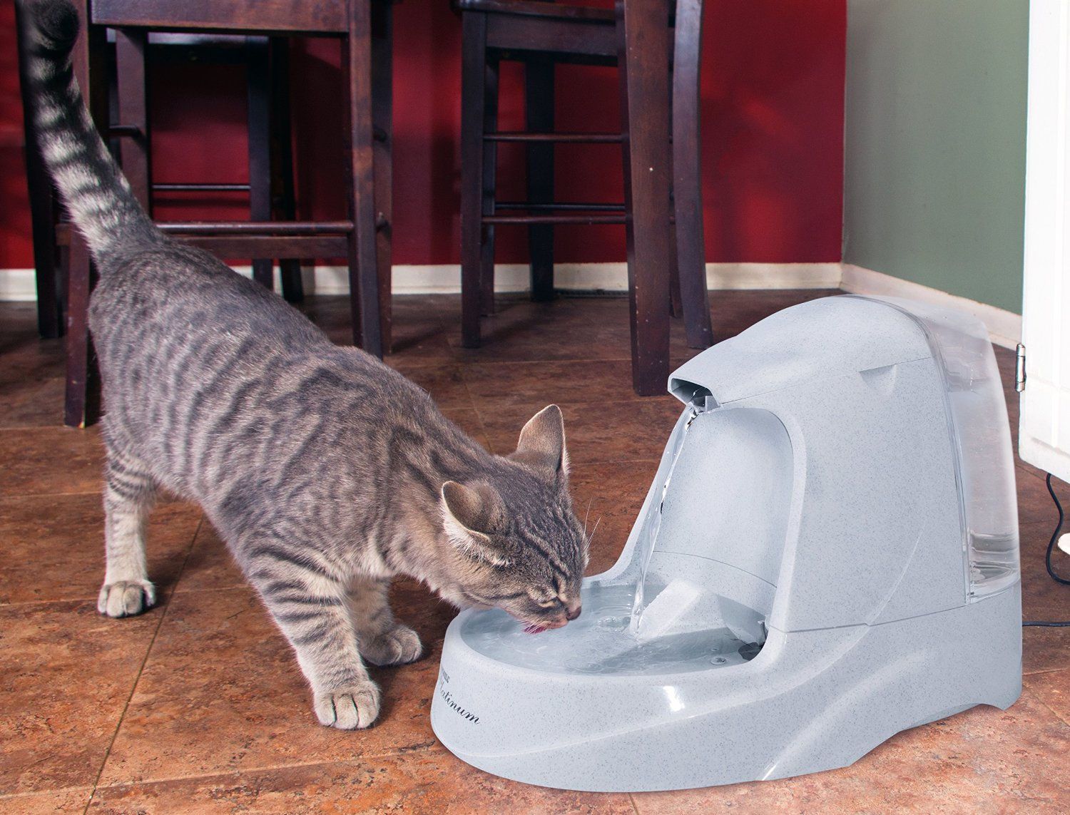 Top 5 Automatic Water Dispensers for Cats