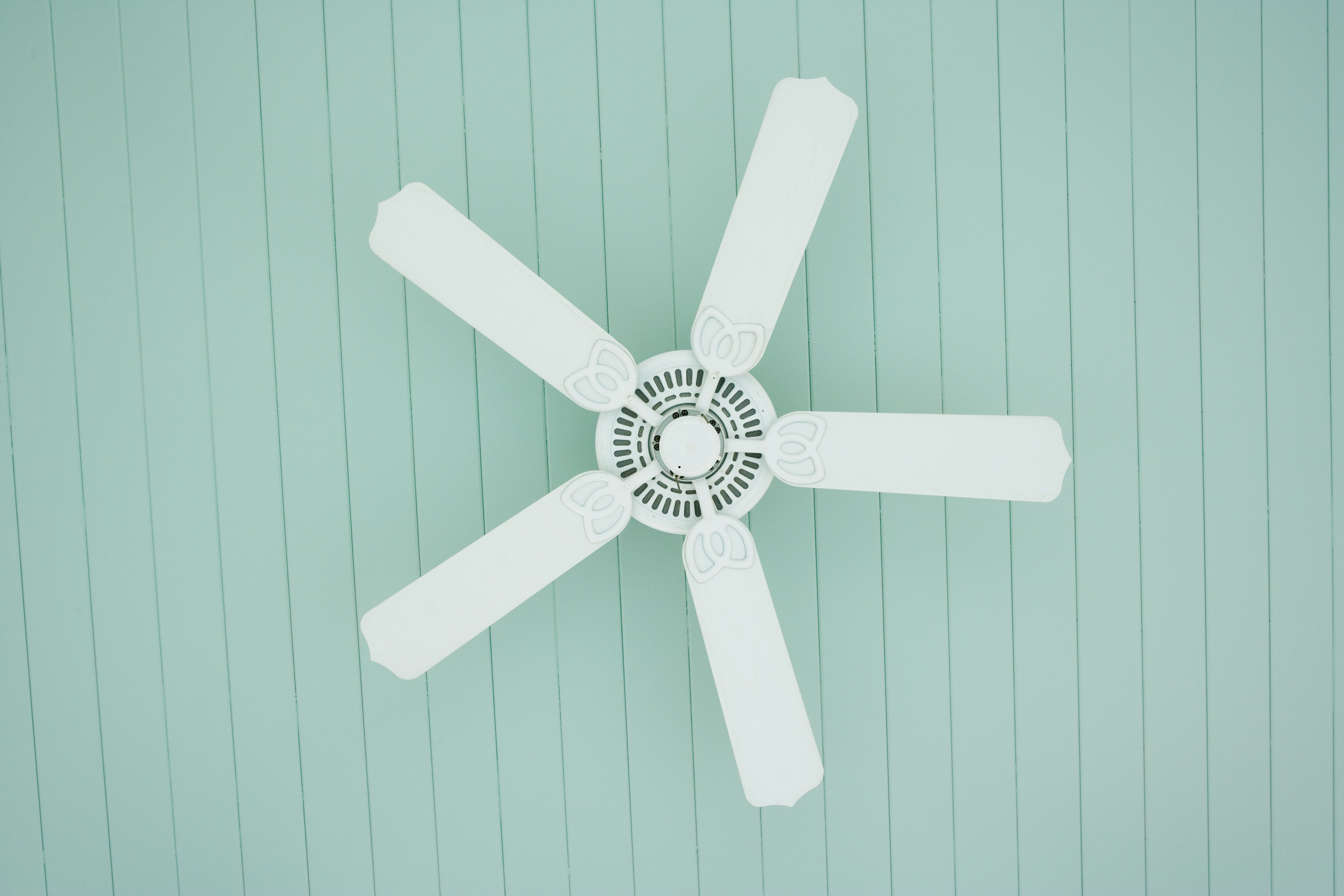 The 7 Best Ceiling Fans to Buy in 2018