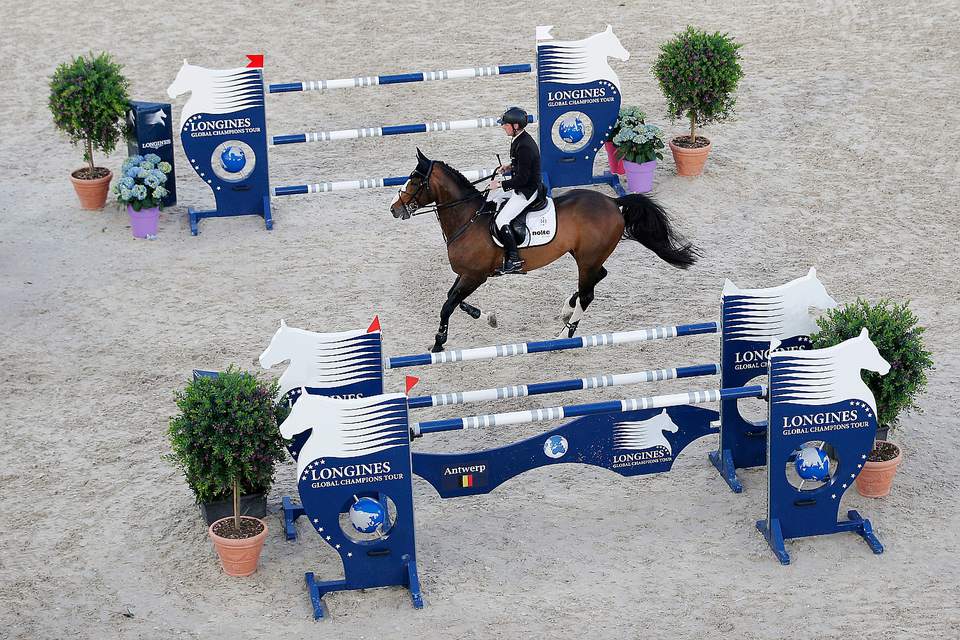 Common Types of Equestrian Show Jumps