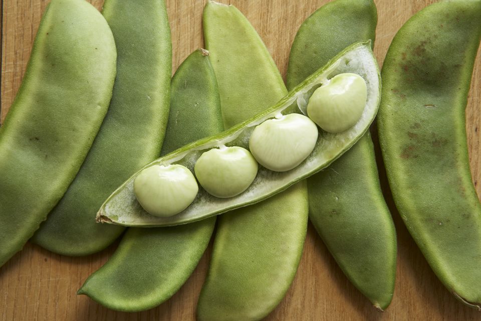 Easy How To For Growing Lima Beans