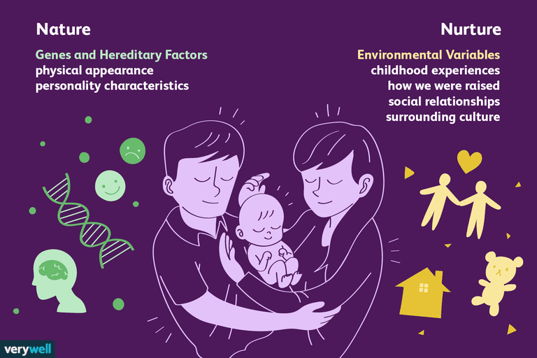 Nature vs. Nurture: Do Genes or Environment Matter More?