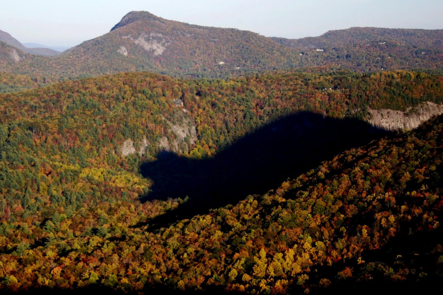 The Shadow of the Bear in the North Carolina Mountains