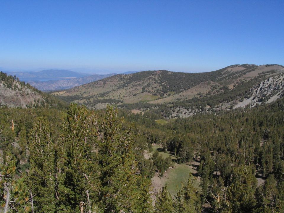 Mt Rose Summit Trailhead Trails Near Reno Nevada