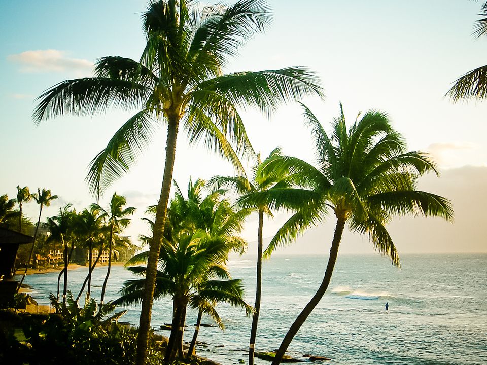 Tipping in Hawaii - Hawaii Travel Tips