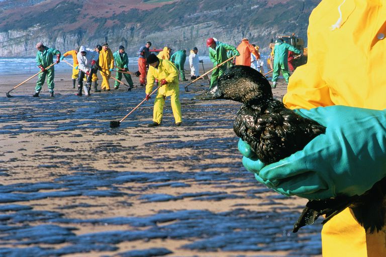 how-do-oil-spills-damage-the-environment