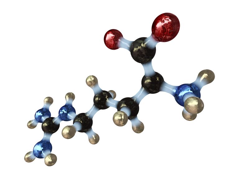 Amino Acid Definition and Examples