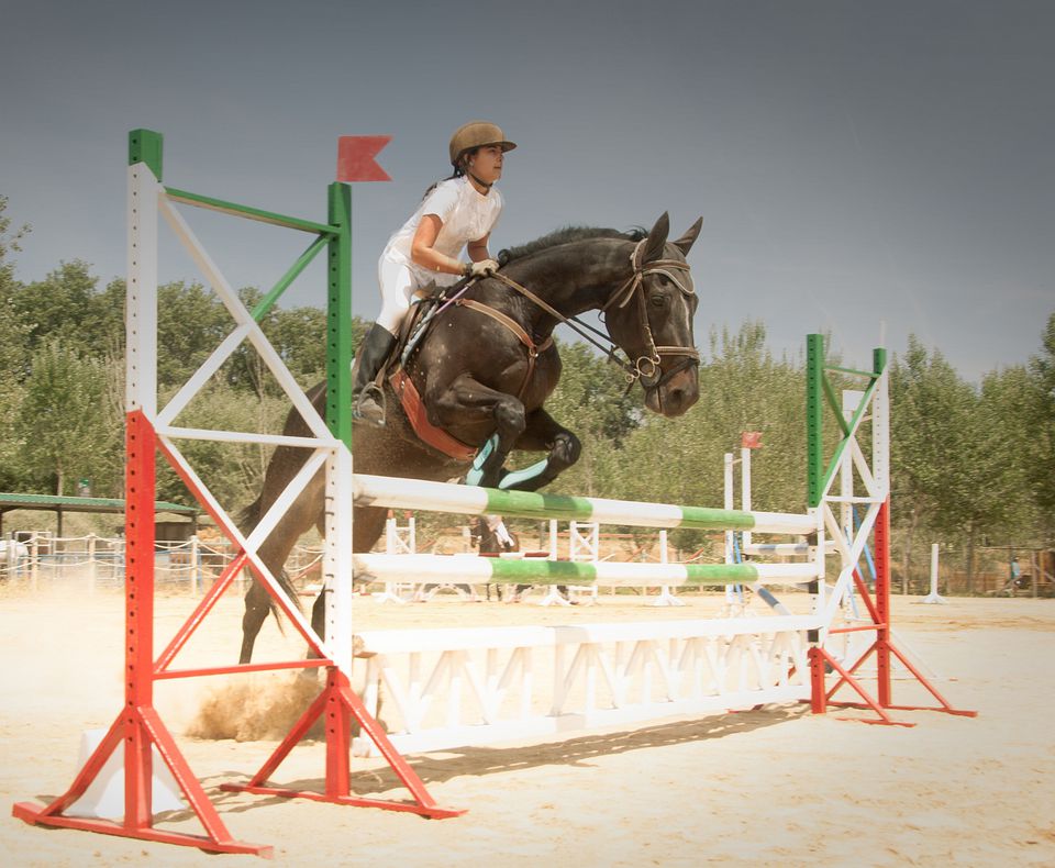 Common Types of Equestrian Show Jumps