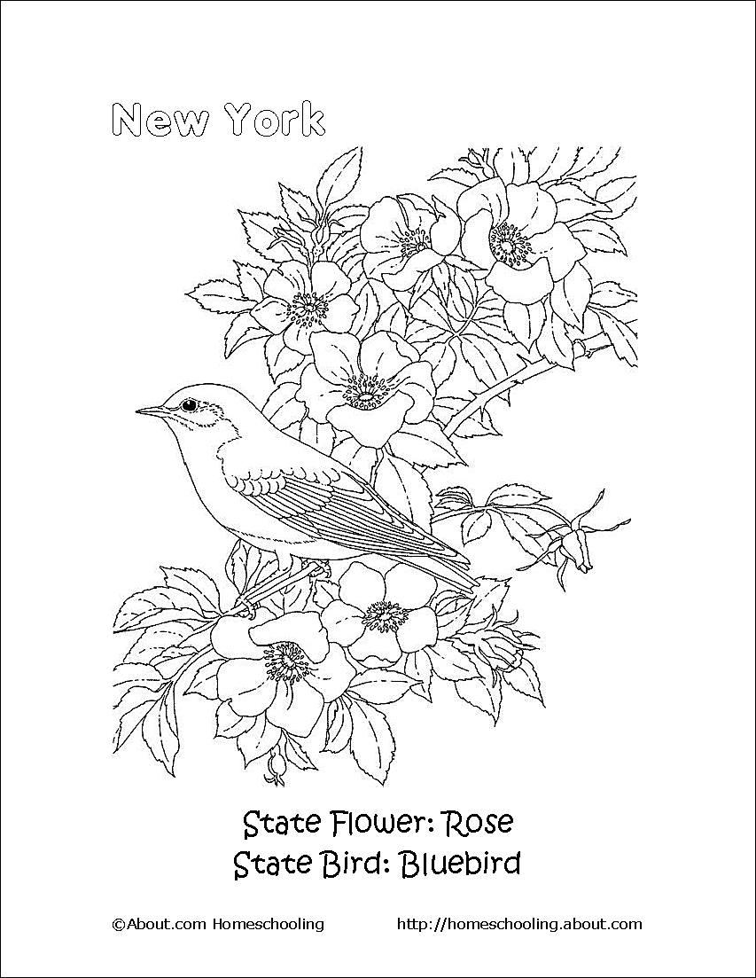 newyorkcolor 58b986b55f9b58af5c4b929c