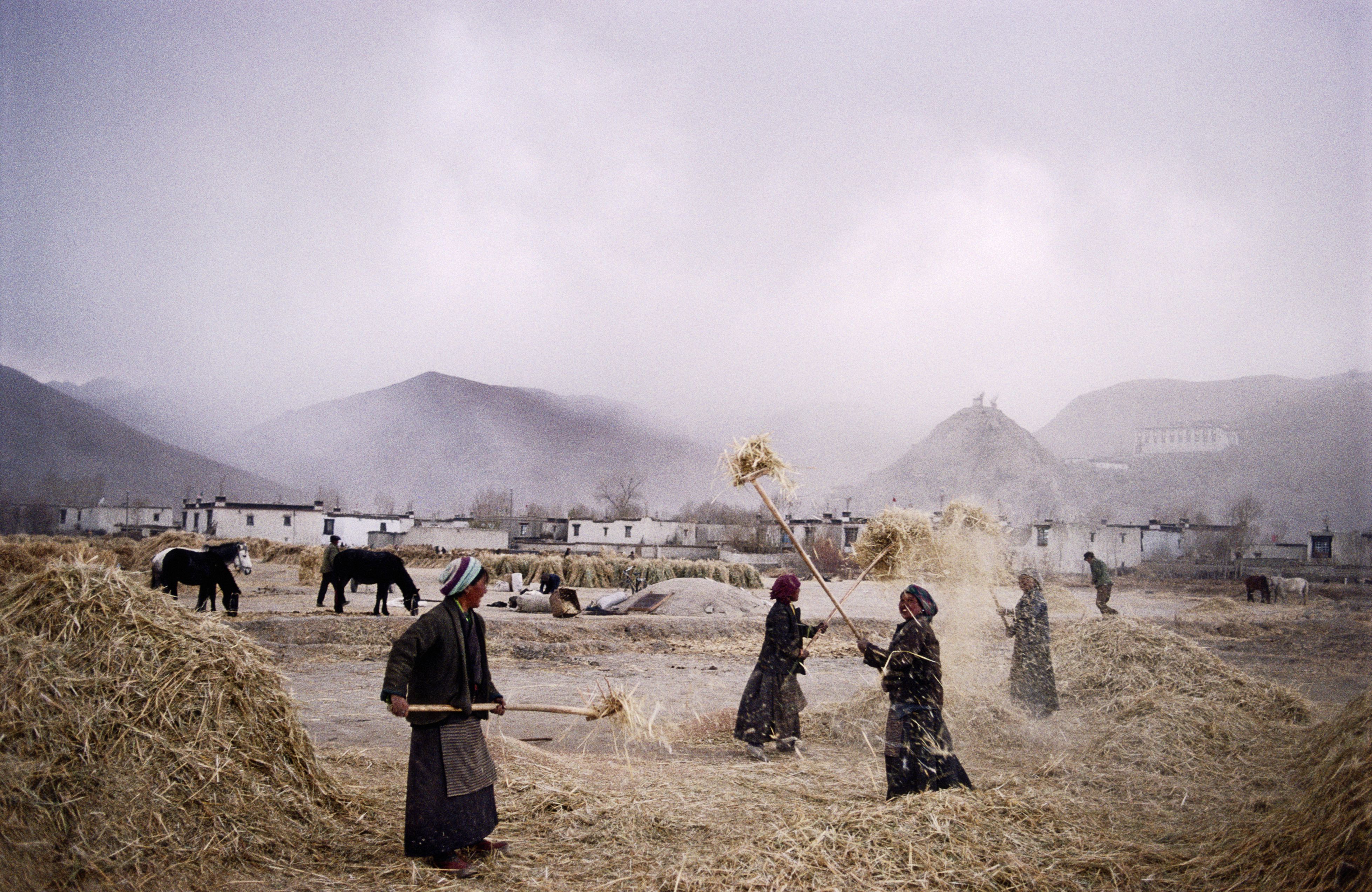 polyandry-in-tibet-brothers-marrying-the-same-wife