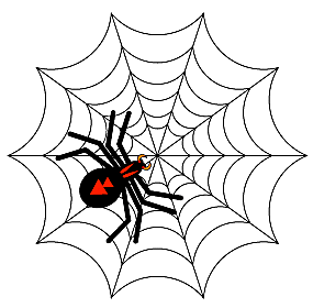 How to Make a Spider Web Drawing in Illustrator