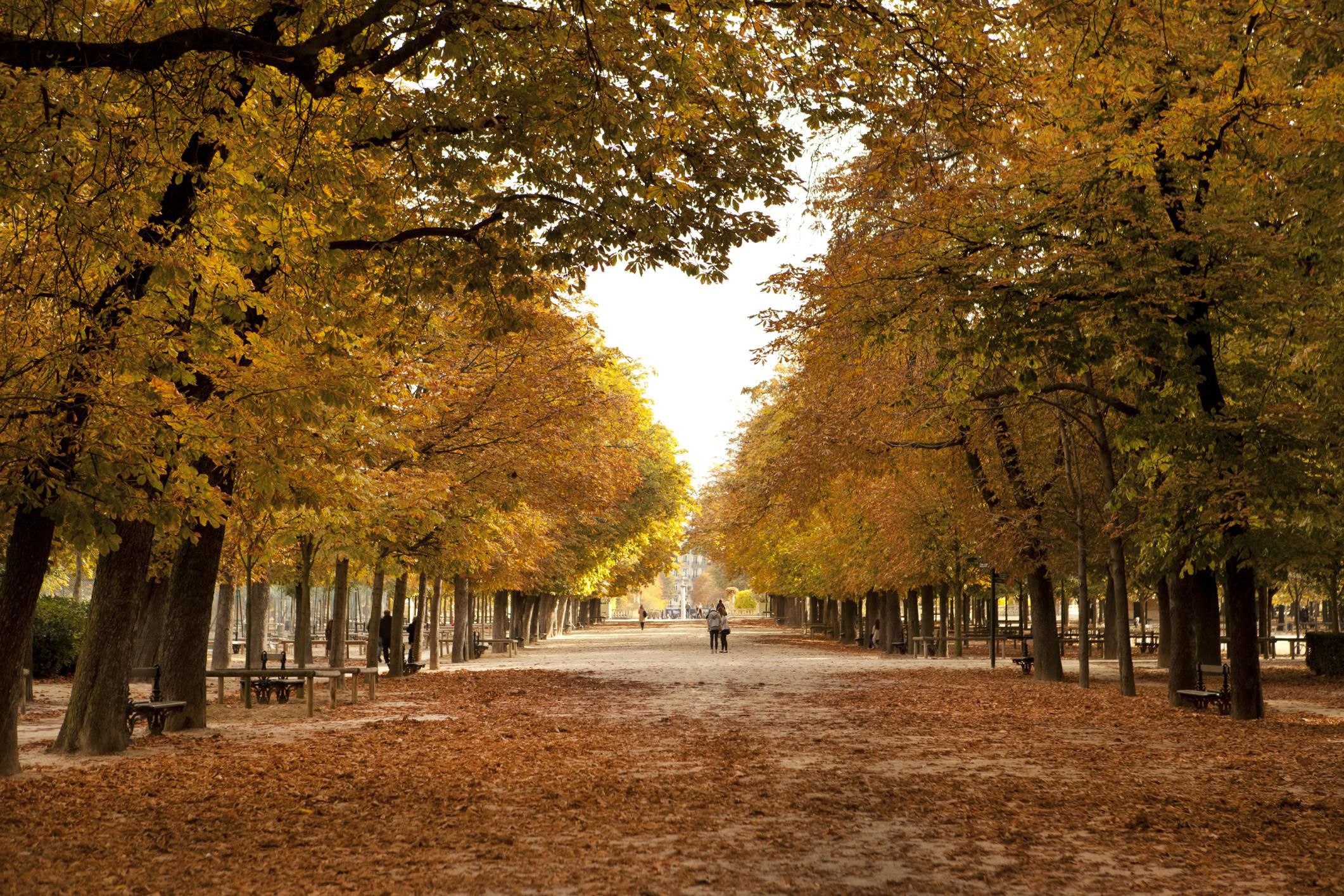 Visiting Paris in November A Complete Guide