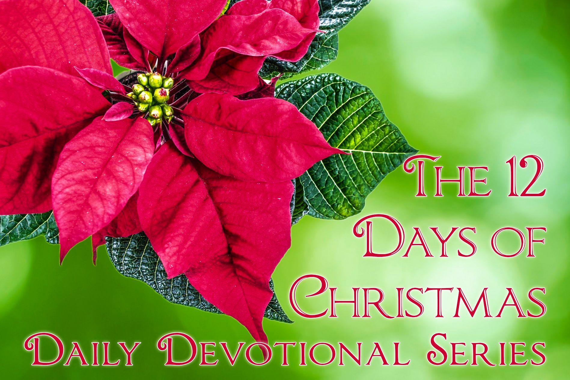 Devotions Christmas 