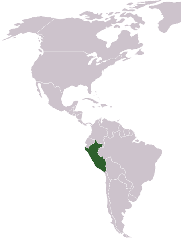 Where in the World Is Peru Located?