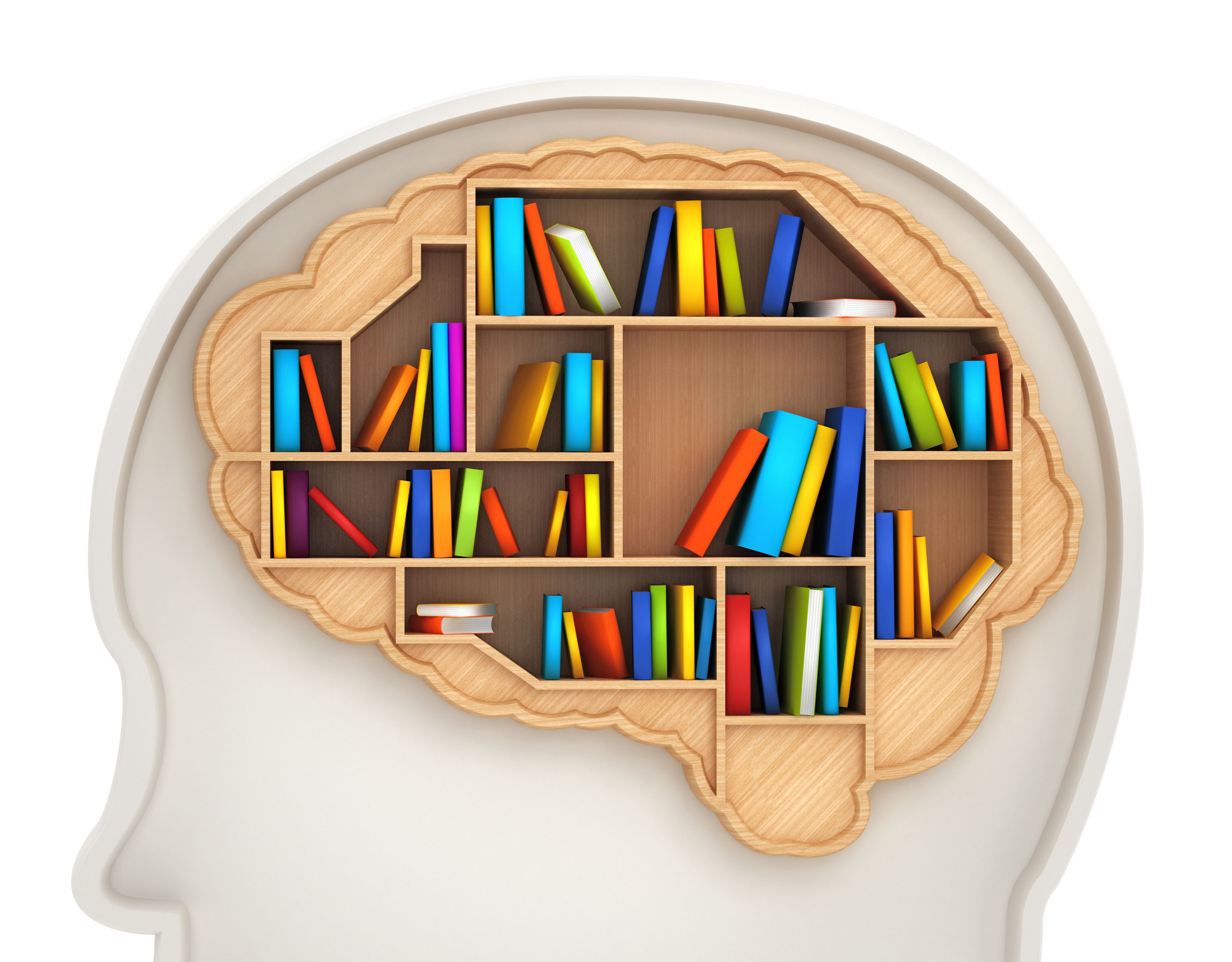 Long-Term Memory Types, Duration, and Capacity 