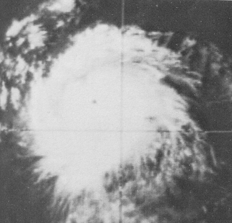 Typhoon Rita 1978