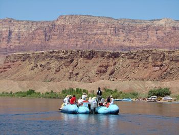 Grand Canyon Mule Trips What You Need To Know