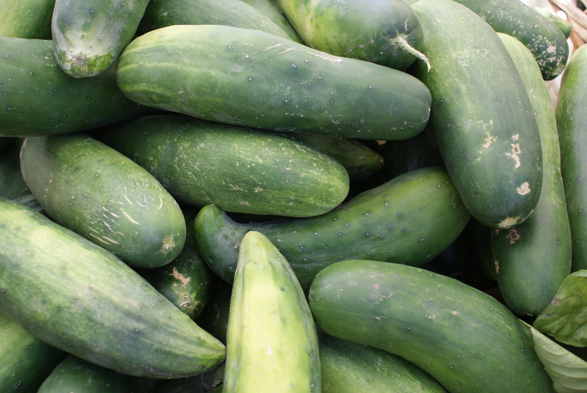 Why Do Spas Use Cucumbers