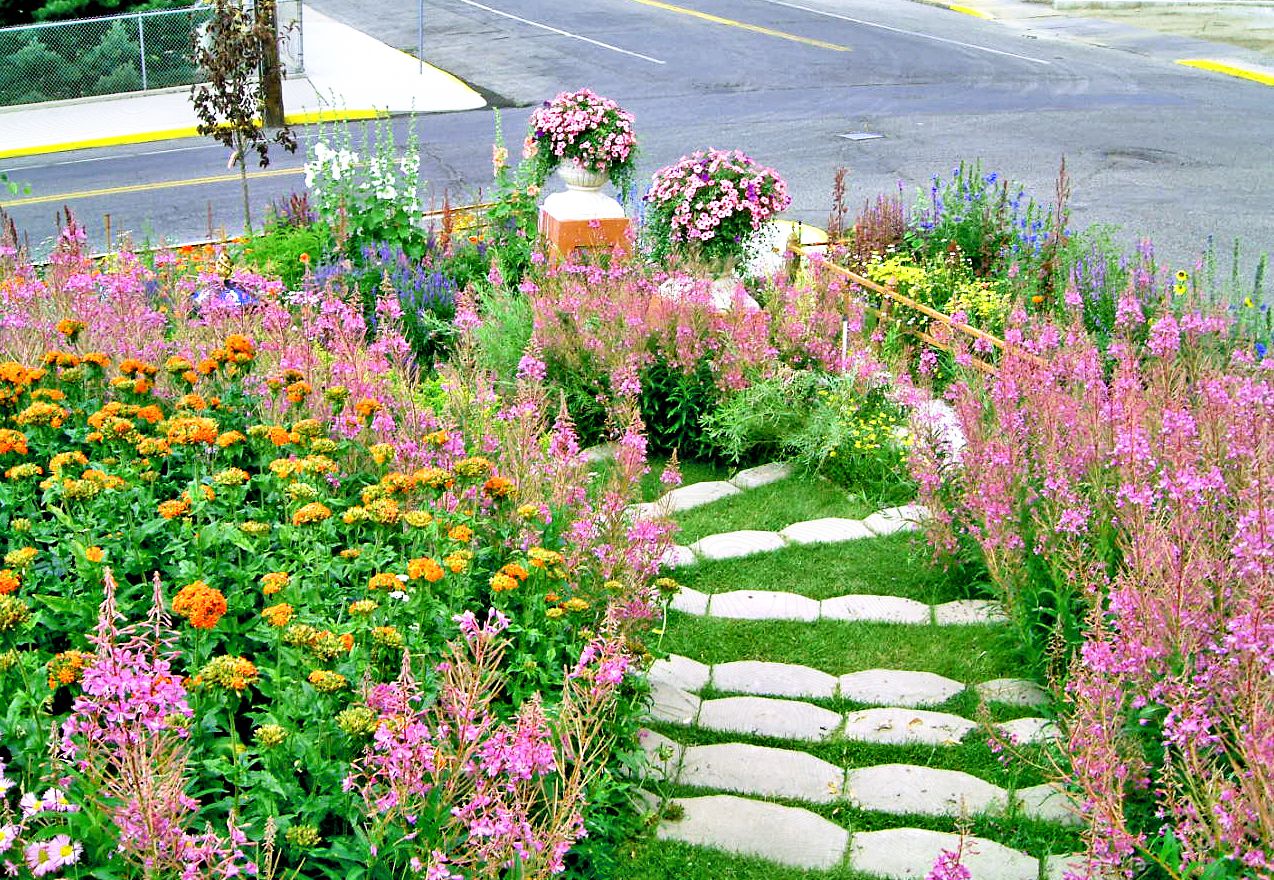 13 Hillside Landscaping Ideas to Maximize Your Yard