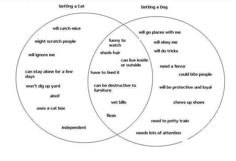 Using a Venn Diagram for a Compare and Contrast Essay