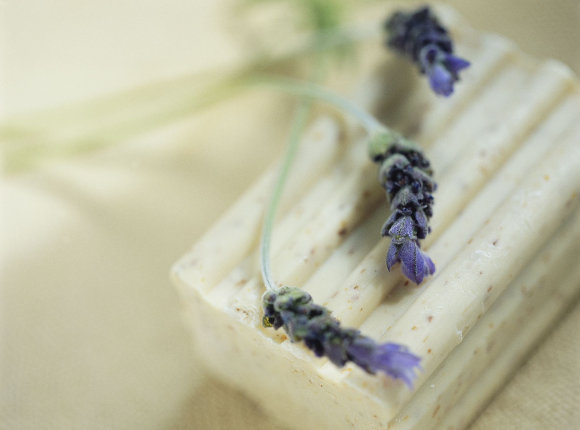 Download How to Make Lavender Soap - A Recipe