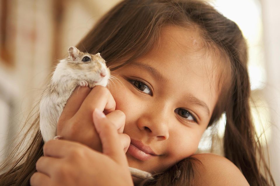 Feeding Pet Gerbils - Gerbil Food - What Do Gerbils Eat