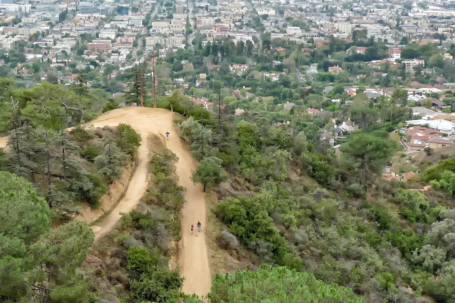 Ideas for a Hike in Griffith Park Los Angeles
