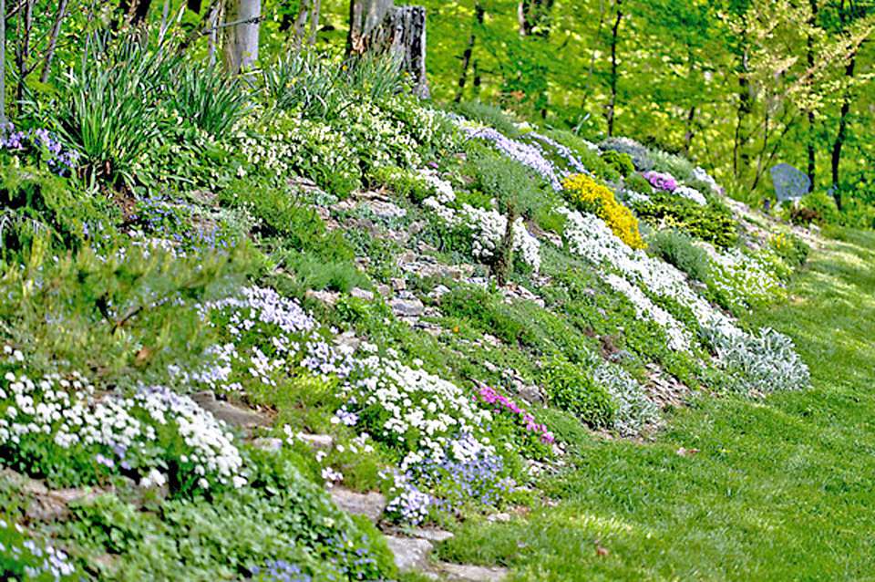 13 Hillside Landscaping Ideas to Maximize Your Yard