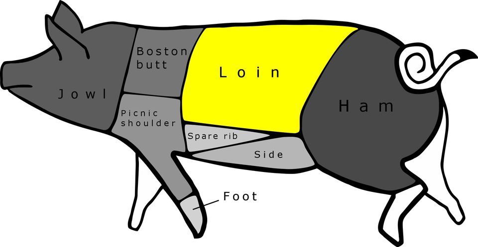 Cuts Of Pork Pig Diagram And Pork Chart