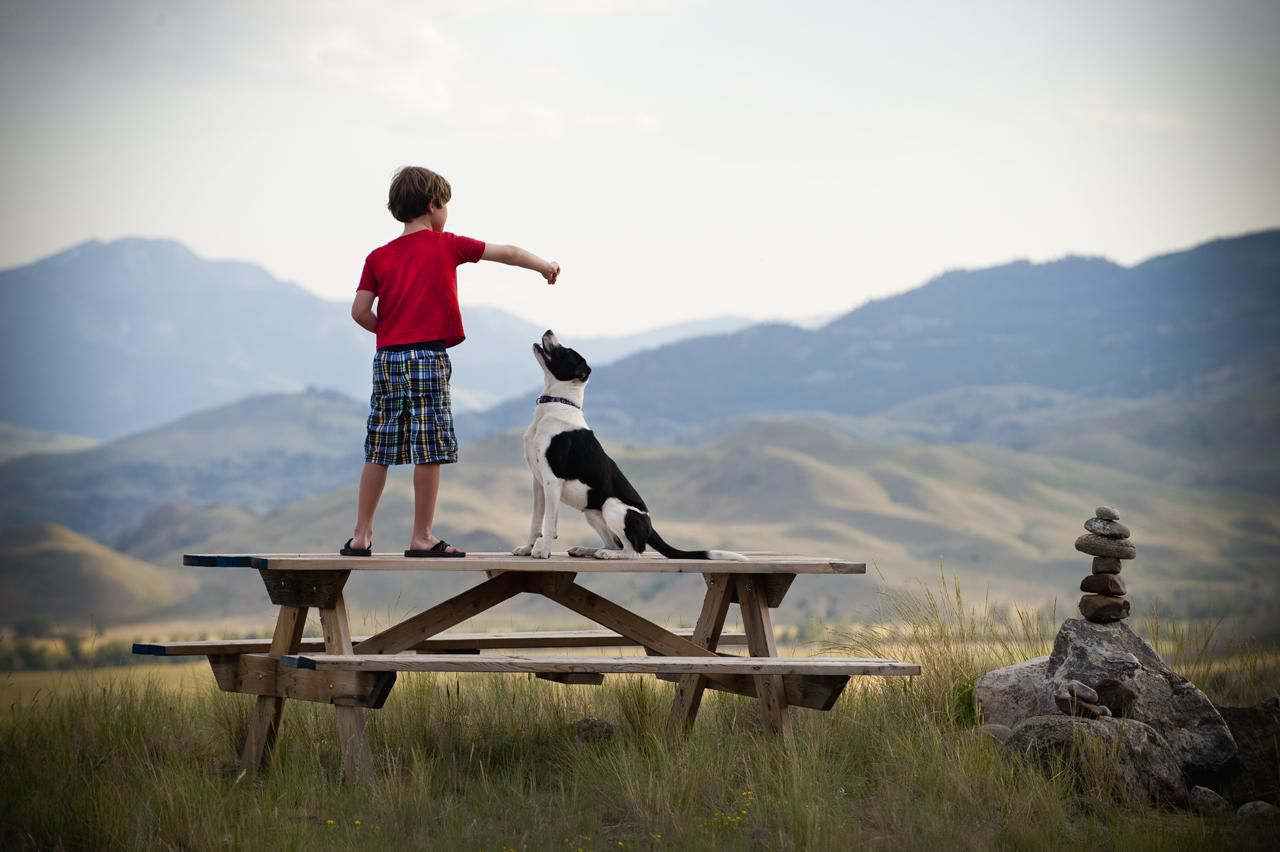 Jobs for Kids Pros and Cons of Pet Sitting