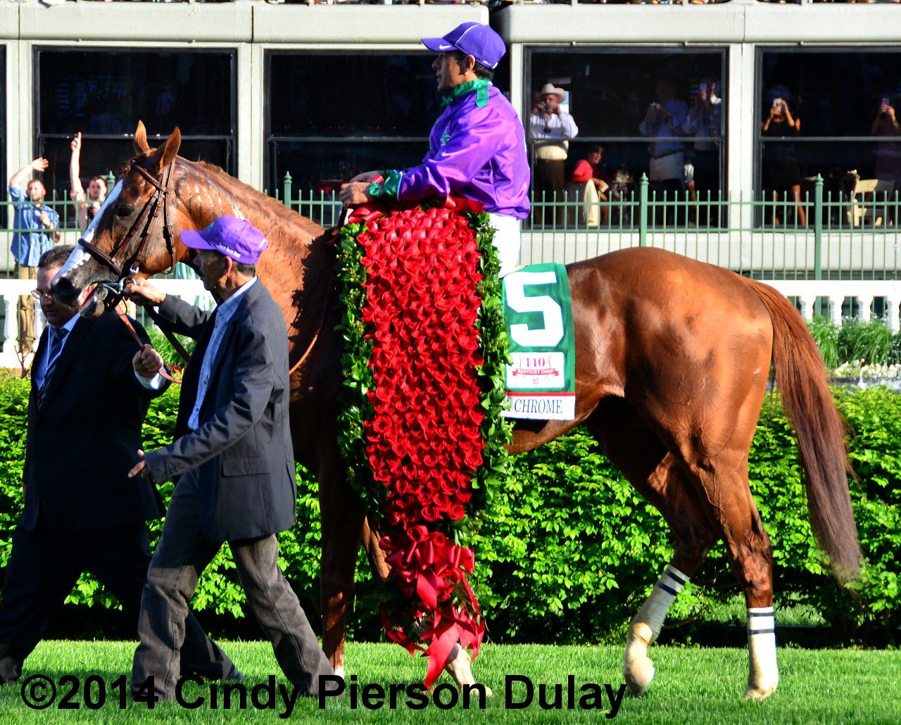 Weekly Thoroughbred Stakes Race Schedule