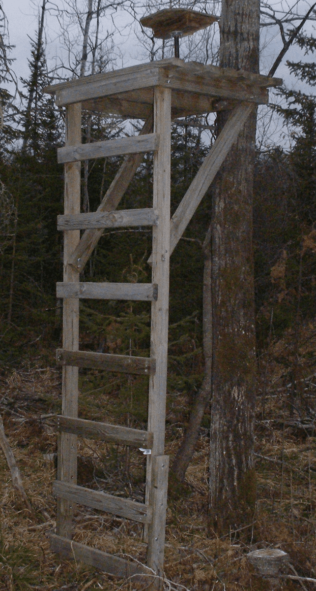 11 Free Deer Stand Plans In a Variety of Sizes