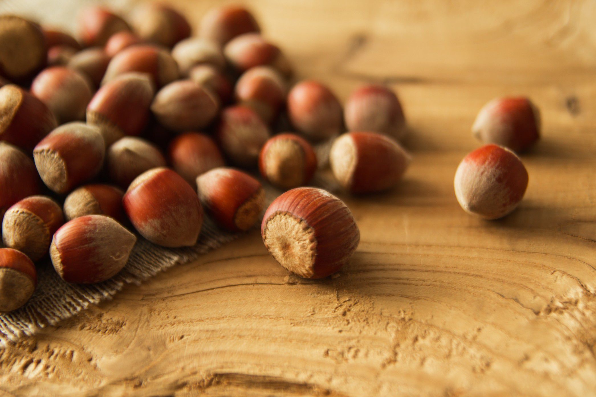 why-are-hazelnuts-called-filberts-or-cobnuts