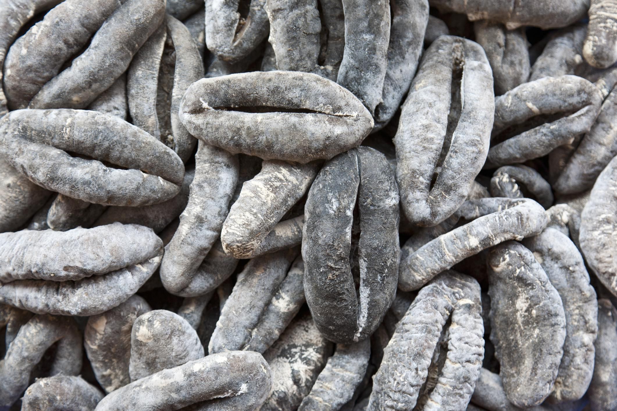 food-and-medicine-sea-cucumber-chinese-ingredients