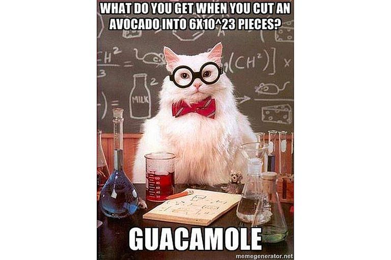 6 configuration lab electron Cat Chemistry  Best Science Meme of