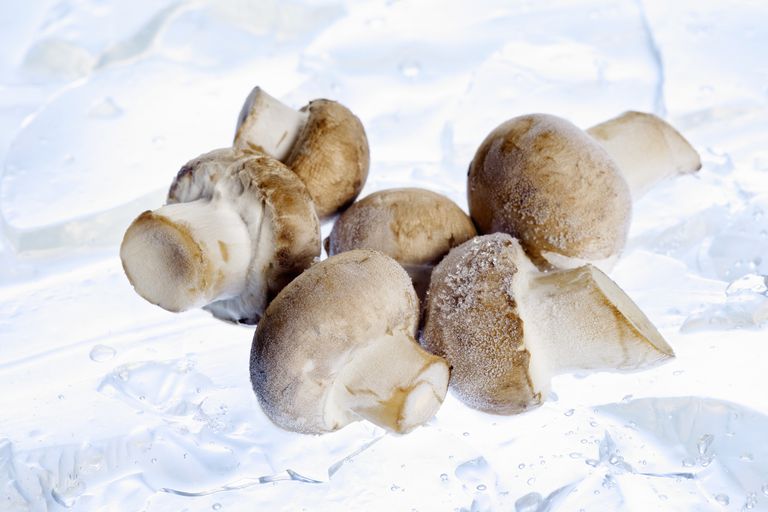 How To Freeze Mushrooms The Right Way   GettyImages 76947582 5a56d9ffe258f800378d9705 