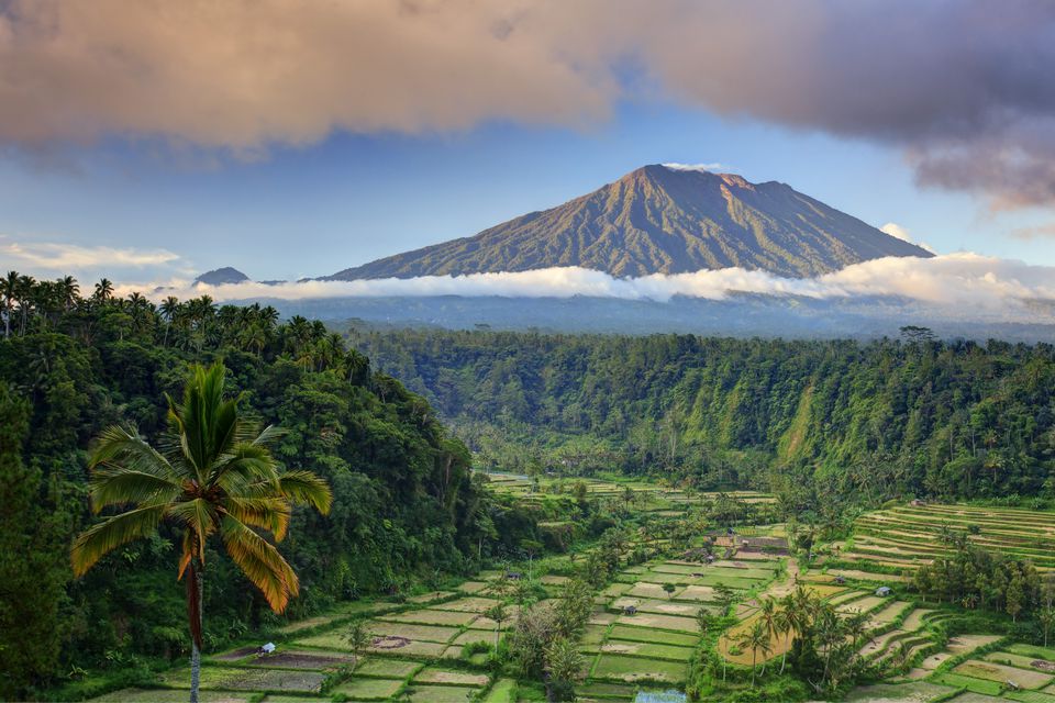 Where Is Bali? Tips, Flights, and Things to Do