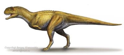 Majungasaurus - Facts and Figures