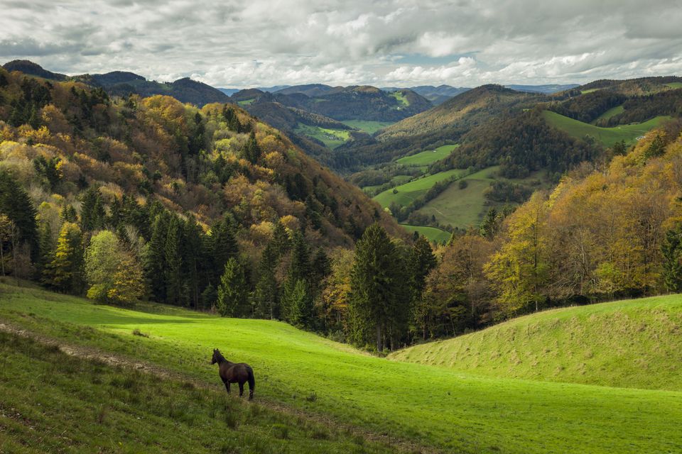 Main Mountain Ranges of France from the Alps to the Pyrenees