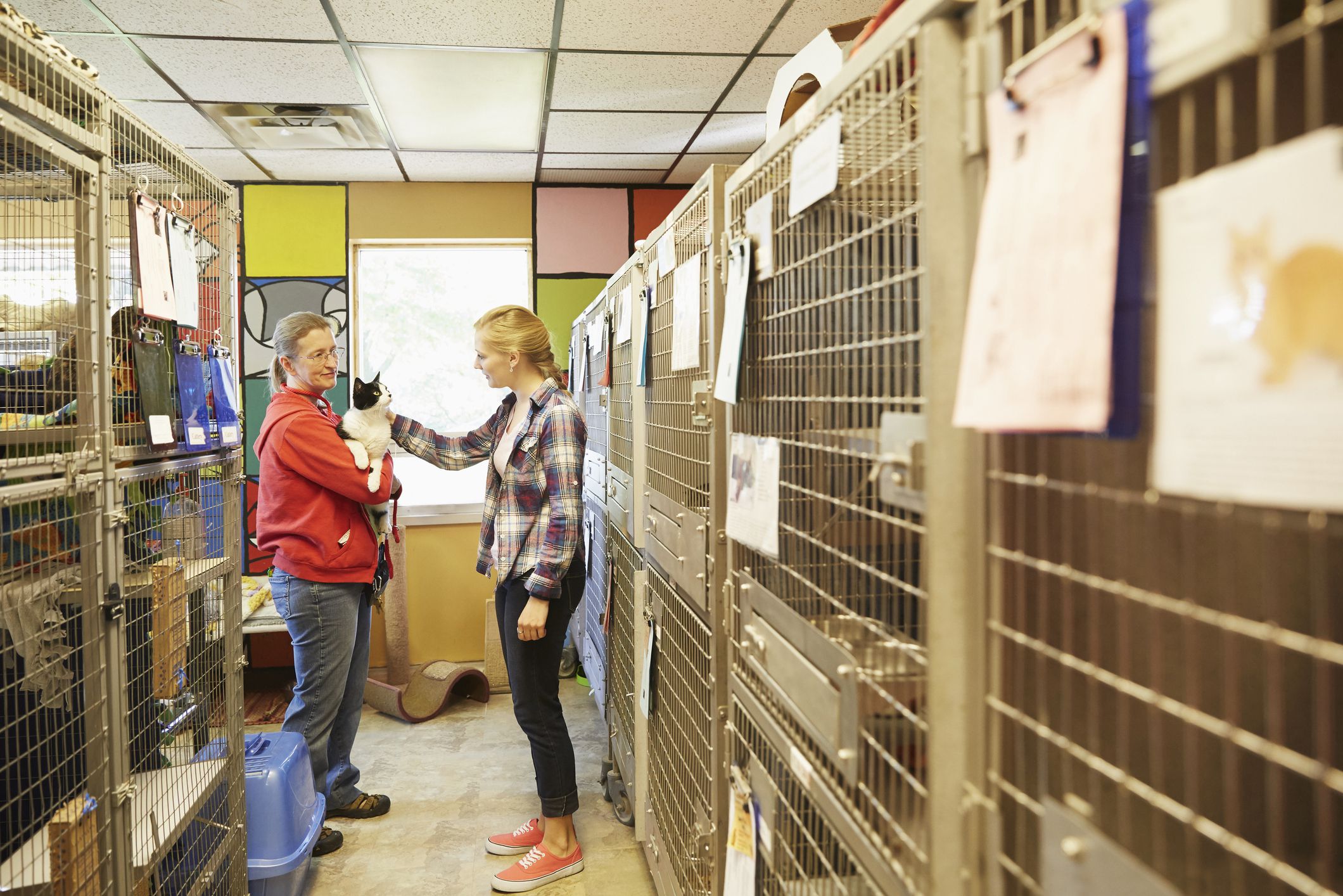 Career Profile Of An Animal Shelter Manager